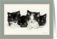 Four Kittens card