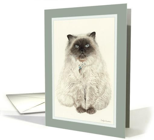 Himalayan Persian card (444997)