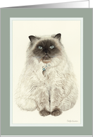 Himalayan Persian card