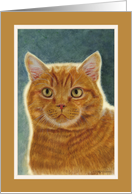 Orange Tabby card