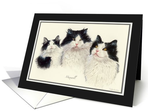 Maxwell the Loving Cat card (520365)