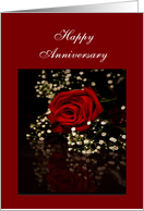 happy anniversary-for my wife card