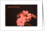 Happy Birthday card