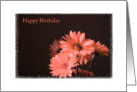 Happy Birthday card