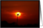 dandilion against sunset card