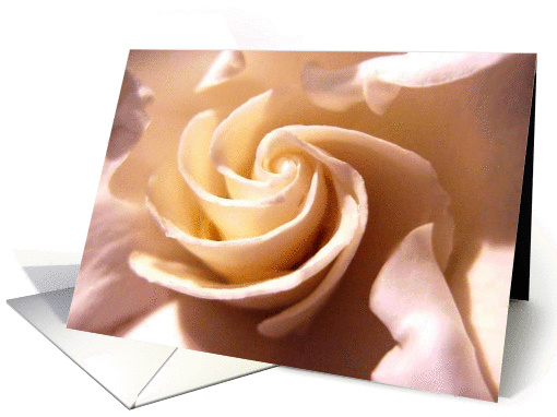 White Rose card (304923)