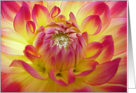 Dahlia card