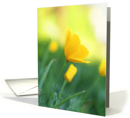 Poppy card (309953)