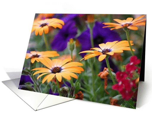 Daisys card (309961)