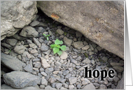 Hope card