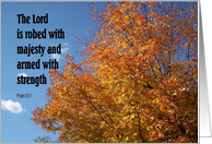 Brilliant Autumn card