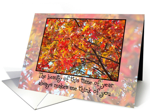 Autumn Thinking of You 2 card (290270)