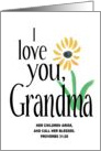 Grandma I love you card