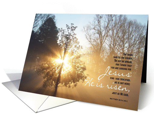 Easter Matthew 28 card (365360)