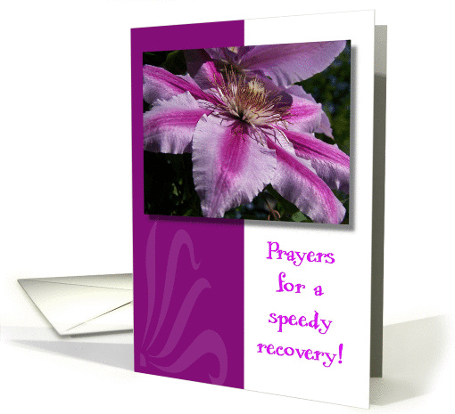 Prayers speedy recovery 4 card (365868)