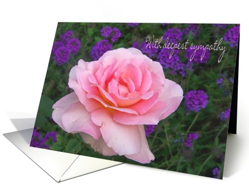 Sympathy Pink Rose card (439728)