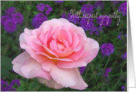 Sympathy Pink Rose card
