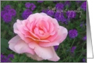 Sympathy Pink Rose card