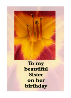 Birthday Daylily...