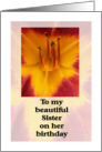 Birthday Daylily Sister card