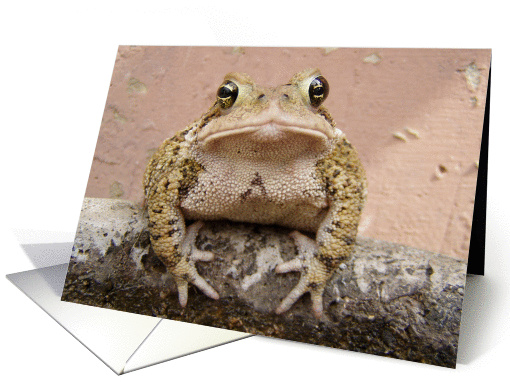Max the Toad  sunny day card (257829)