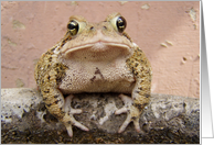 Max the Toad sunny day card
