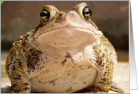 Max the Toad ... card