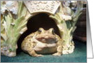 Max the Toad ... toad house card