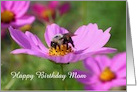 Bumble Bee On Pink Cosmos Flower Birthday Card For Mom card