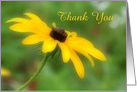 Dreamy Yellow Black Eyed Susan Daisy Flower Thank You Card