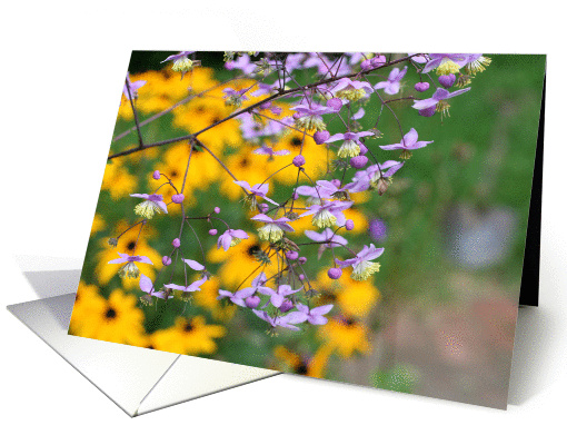 Delicate Pink Flowers Flower Photo Blank Note card (278859)