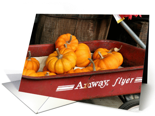 Gourds In Wagon Thanksgiving Nature Photo Greeing card (281161)