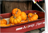 Gourds In Wagon Thanksgiving Nature Photo Greeing Card