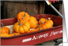 Gourds In Wagon Thanksgiving Nature Photo Greeing Card