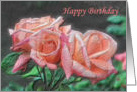 Peach Rosebud Trio Digital Art Birthday Card