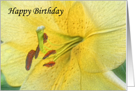 Yellow Lily Digital Art Birthday Card