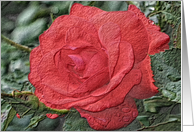 Red Rose Digital Art Pencil Blank Note Card