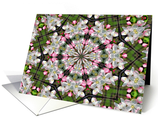 Spring Blossoms Kaleidoscope Flower Photo Blank Note card (328975)