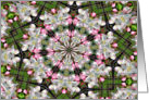 Spring Blossoms Kaleidoscope Flower Photo Blank Note Card