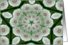 Dandelion Fluff Kaleidoscope Flower Photo Blank Note Card