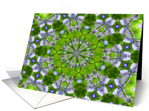 Bee On Bluebell Kaleidoscope Flower Photo Blank Note card (328983)
