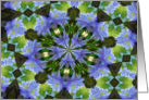 Clematis Kaleidoscope Flower Photo Blank Note Card