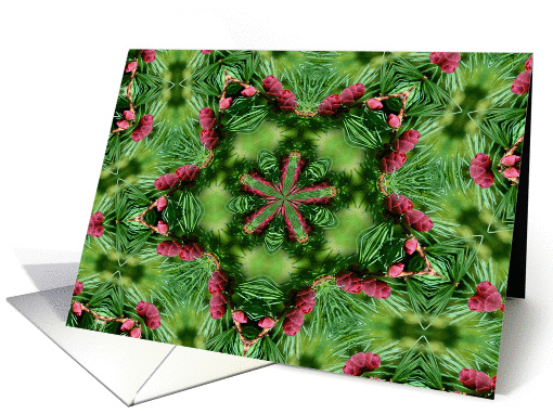 Pine Cones Kaleidoscope Flower Photo Blank Note card (329003)