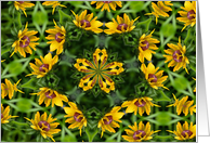 Black Eyed Susan Kaleidoscope Flower Photo Blank Note Card