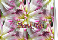 Red White Dahlia Collage Floral Thank You Card