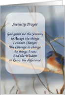 Winter Bluebird Art Serenity Prayer Card
