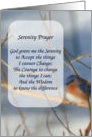 Winter Bluebird Art Serenity Prayer Card