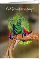 Yellow Nape Amazon Parrot Funny Getting Older Birthday Card