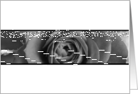 Wedding Rose Invite card