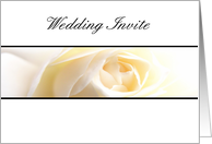 Wedding Rose Invite...